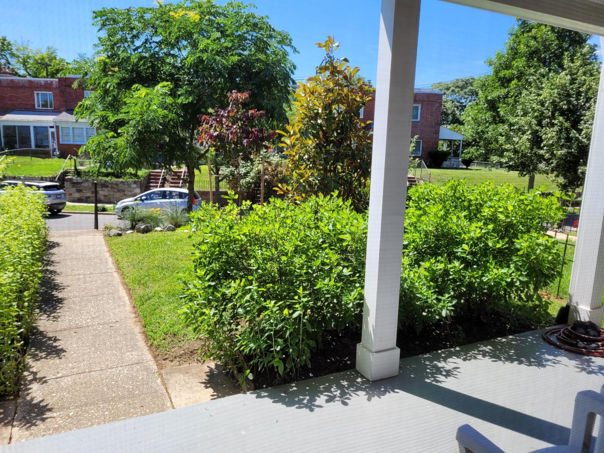 Capitol Hill Adj With Parking And Easy Access To Downtown Casa vacanze *