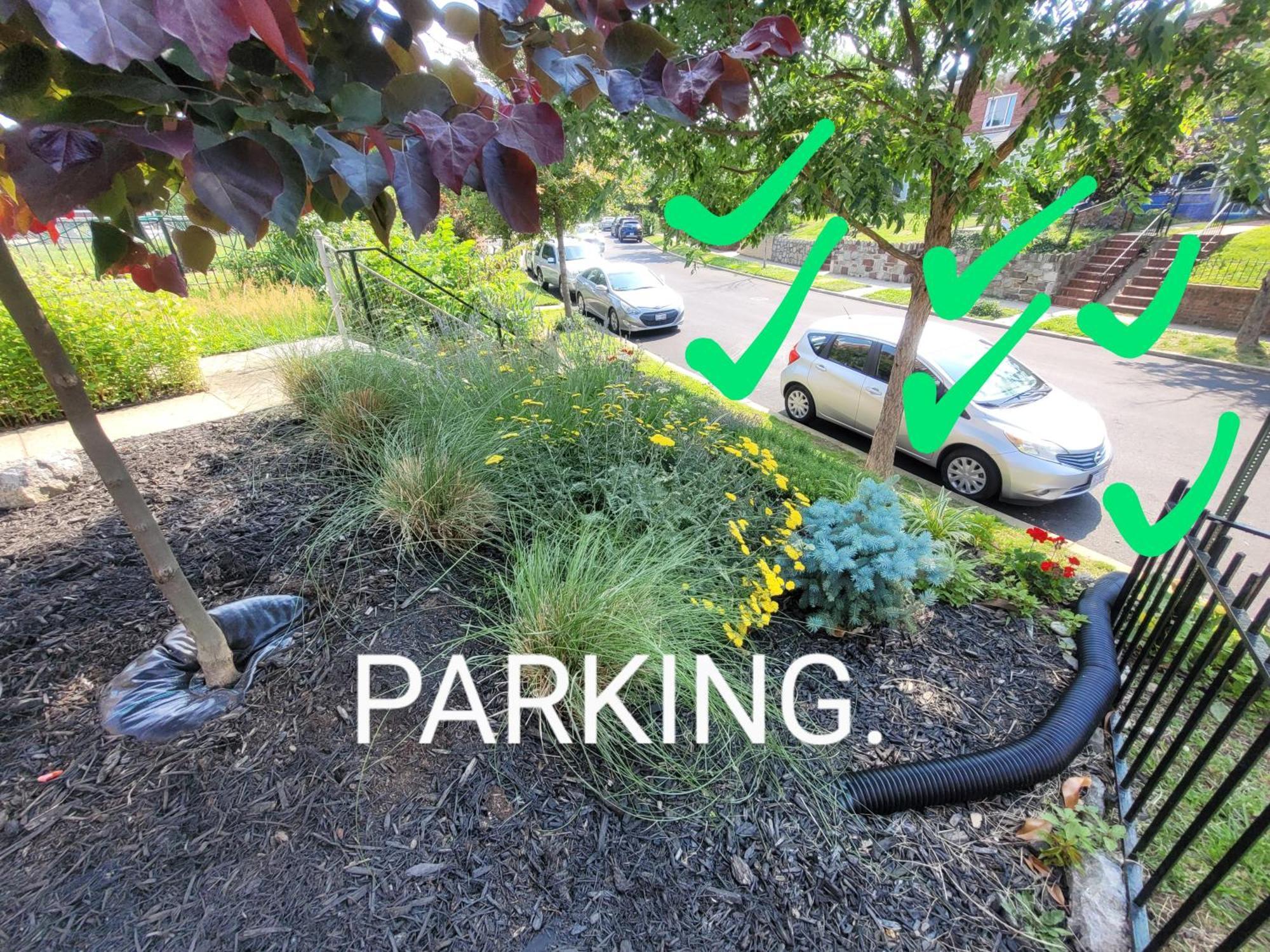 Ferienhaus Capitol Hill Adj With Parking And Easy Access To Downtown Washington